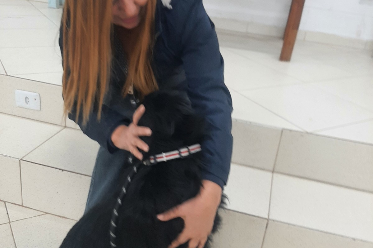 Animais de Estimação